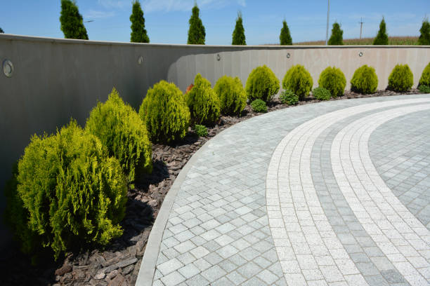 Best Driveway Pavers Near Me  in Fern Prairie, WA